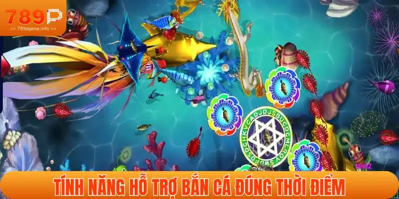 Tính năng hỗ trợ săn cá đúng lúc