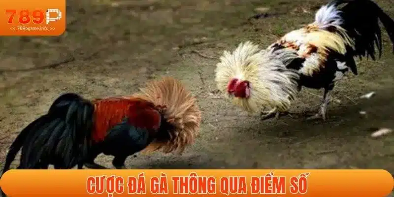 Các loại cược trong đá gà thách thức bằng điểm số