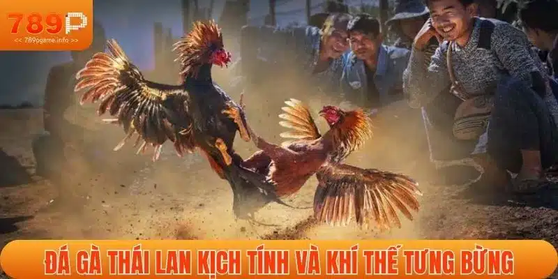 Đá gà Thái Lan kịch tính và khí thế tưng bừng