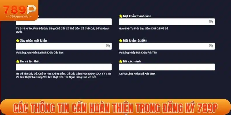 Các thông tin cần hoàn thiện trong đăng ký 789P
