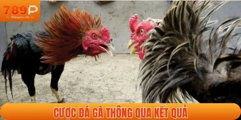 Thách đấu theo kết quả là một các loại cược trong đá gà được yêu thích
