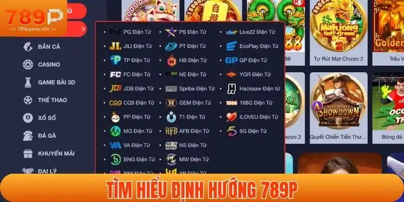 Tìm hiểu định hướng 789P
