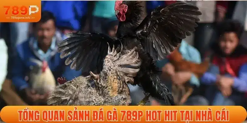 Tổng quan sảnh đá gà 789P hot hit tại nhà cái