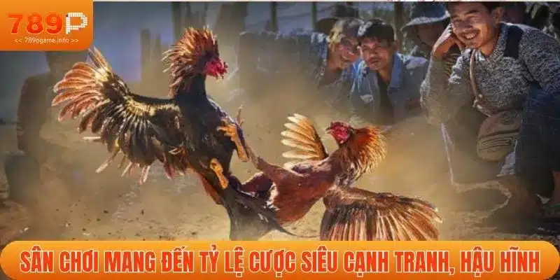 Sân chơi mang đến tỷ lệ cược siêu cạnh tranh, hậu hĩnh