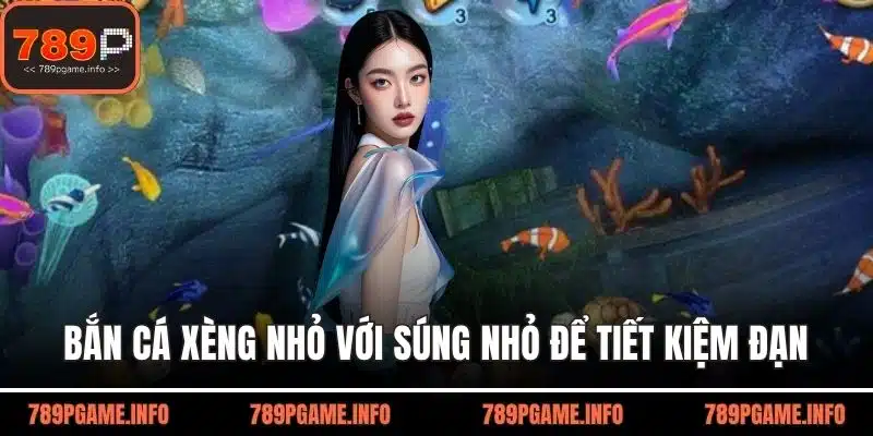 Bắn cá xèng nhỏ với súng nhỏ để tiết kiệm đạn
