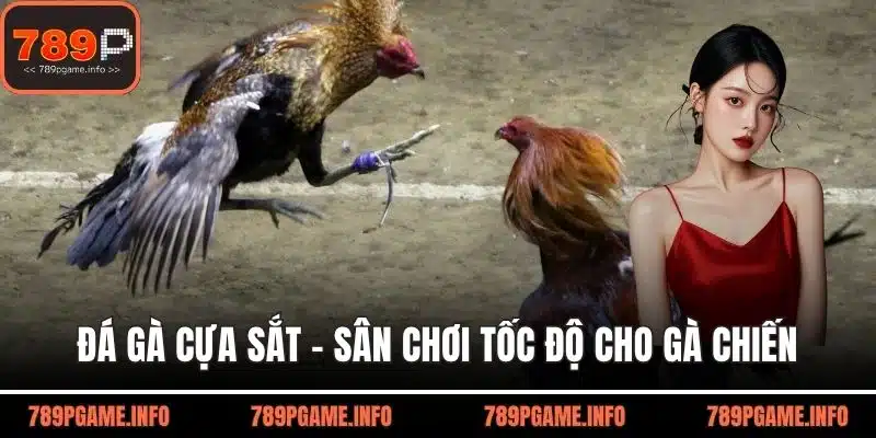 Đá gà cựa sắt