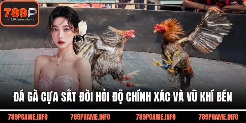 Đá gà cựa sắt đòi hỏi độ chính xác và vũ khí bén