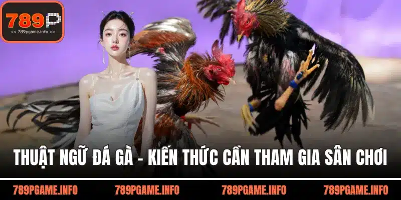 Thuật ngữ đá gà