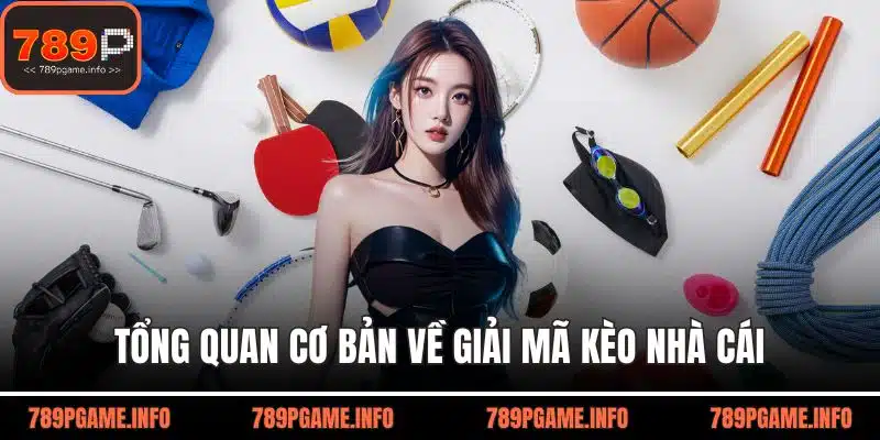 Tổng quan cơ bản về giải mã kèo nhà cái