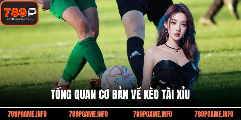 Tổng quan cơ bản về kèo tài xỉu