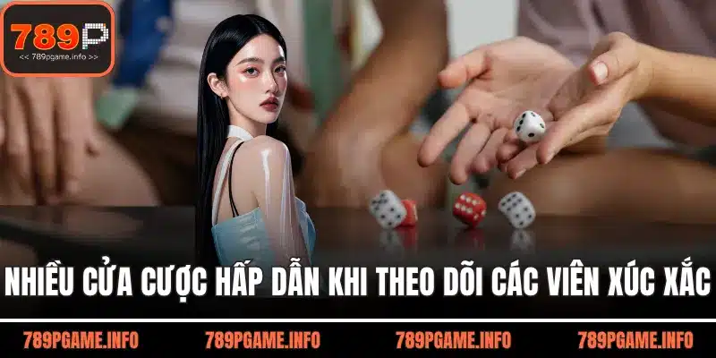 Nhiều cửa cược hấp dẫn khi theo dõi các viên xúc xắc